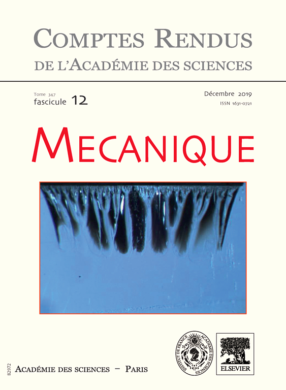 Go to journal home page - Comptes Rendus Mécanique